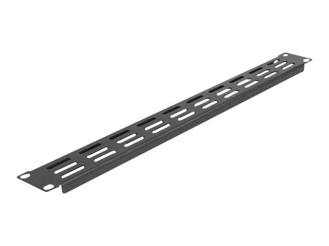 Delock - Rackpaneel - Schwarz - 1U - 48.3 cm (19")