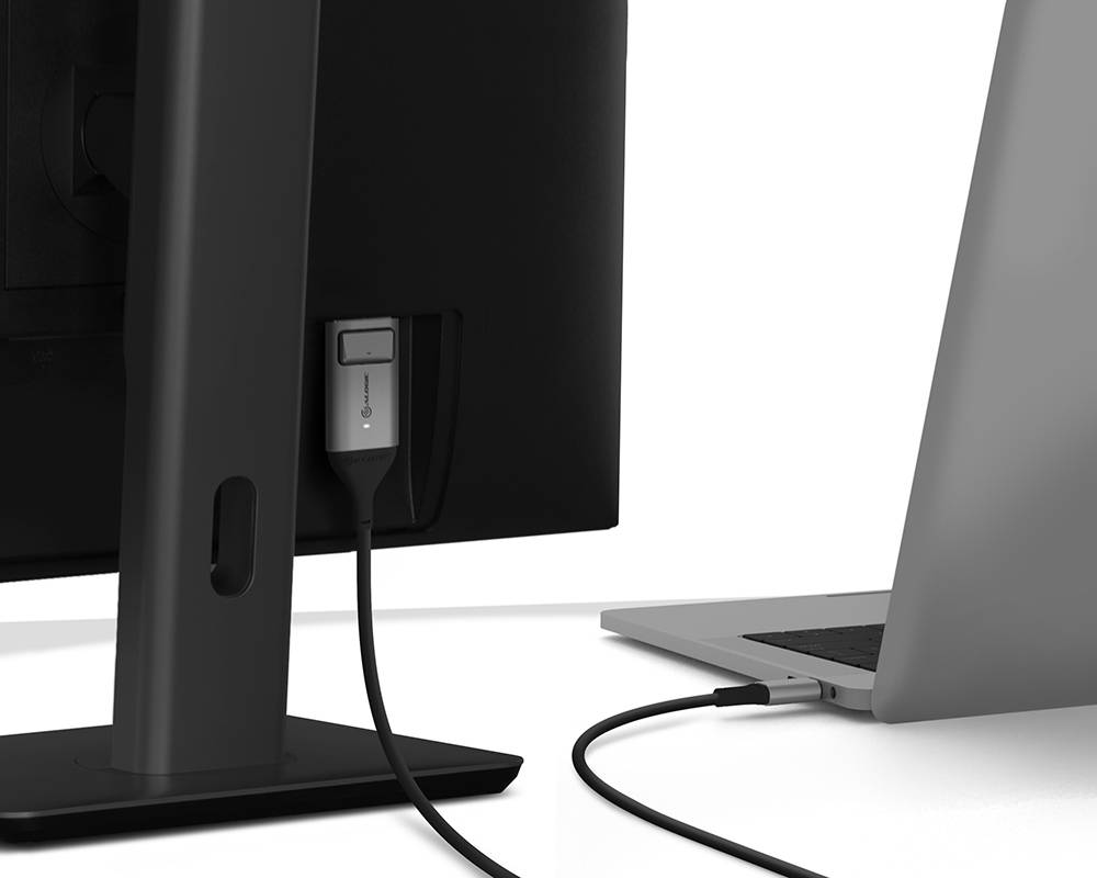 ALOGIC Ultra - DisplayPort-Kabel - 24 pin USB-C (M)