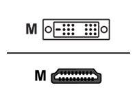 HDSupply - Adapterkabel - DVI-D männlich bis HDMI männlich