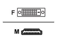 Diagramm, das DVI-Steckertypen zeigt: Buchse (F) oben und Stecker (M) unten, mit dargestellten Pinbelegungen.