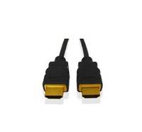 Zwei schwarze Kabelstecker mit goldfarbigen Spitzen, nebeneinander auf weißem Hintergrund gezeigt.