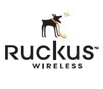 Ruckus FlexMaster - Upgrade-Lizenz - 50 Zugangspunkte