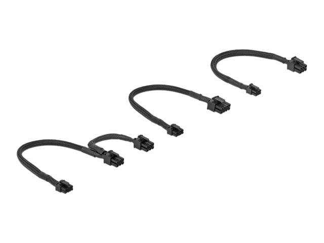 Delock - Stromkabelkit - 300 V - 4 A - Schwarz - für Apple Mac Pro (Ende 2019)