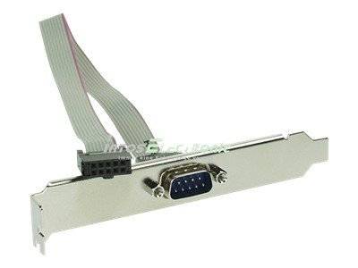 INLINE - Serielles Slotblech - 9-pol Stecker an 10-pol Buchsenleiste - 0,25m