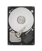 Cisco - Festplatte - 900 GB - SAS - 10000 rpm