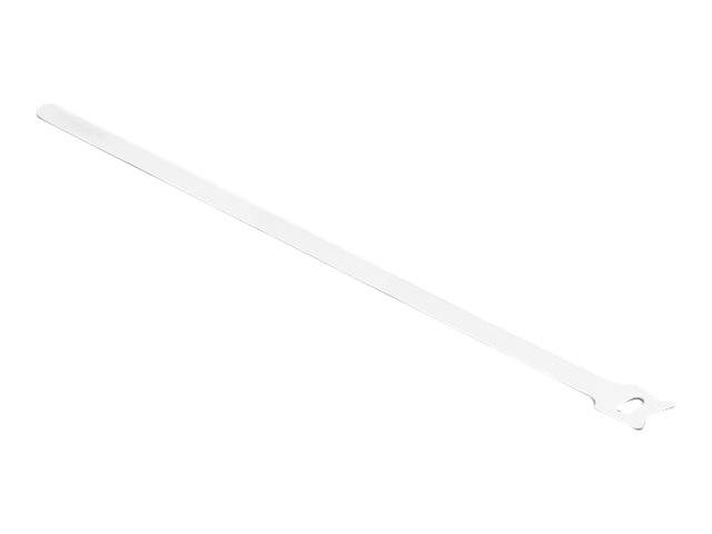 Delock - Kabelbinder - 30 cm - weiß (Packung