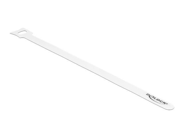 Delock Kabelbinder - 25 cm - weiß (Packung - mit 10)