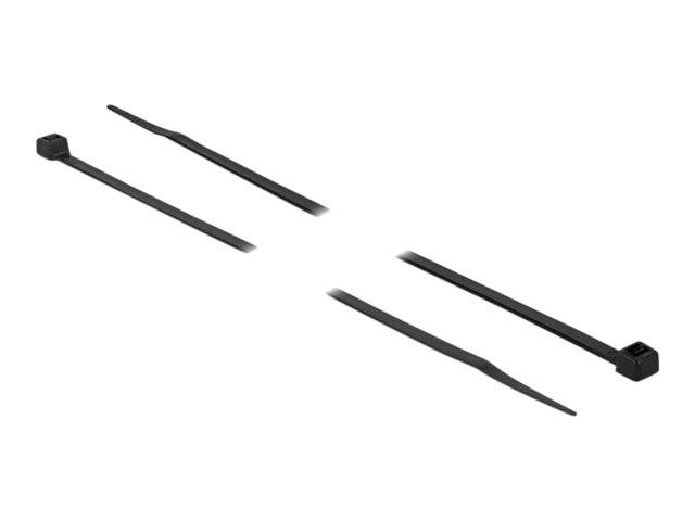 Delock - Kabelbinder - wärmebeständig - 30 cm - Schwarz (Packung mit 100)