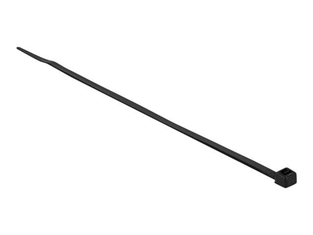 Delock - Kabelbinder - wärmebeständig - 30 cm - Schwarz (Packung mit 100)