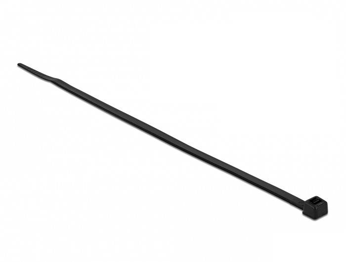 Delock - Kabelbinder - wärmebeständig - 30 cm - Schwarz (Packung mit 100)