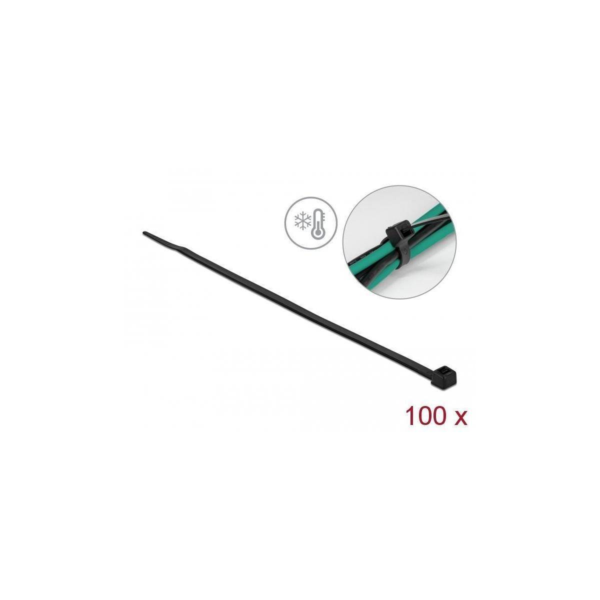 Delock Kabelbinder - kältebeständig - 30 cm - Schwarz (Packung mit 100) - Kälter