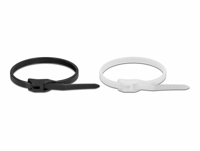 Delock - Kabelbinder - mit flachem Kopf - 15 cm - Schwarz, durchsichtig (Packung mit 100)