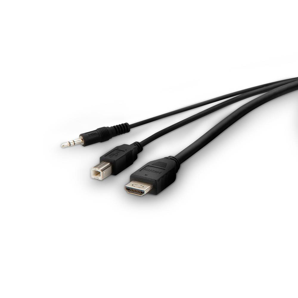 Belkin Secure KVM Combo Cable - Video- / USB- / Audio-Kabel - TAA-konform - USB, Mini-Stecker, HDMI (M)