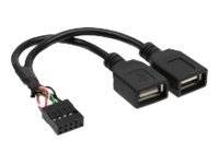 InLine - Interner und externer USB-Adapter - DIN, 9-polig (W)