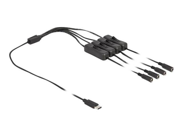 Delock - Netz-Splitter - USB-C (M) bis Gleichstromstecker 5,5 x 2,1 mm (W)