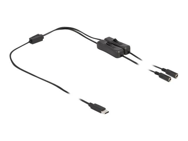 Delock - Netz-Splitter - USB-C (M) bis Gleichstromstecker 5,5 x 2,1 mm (W)