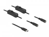 Delock - Netz-Splitter - USB-C (M) bis Gleichstromstecker 5,5 x 2,1 mm (W)