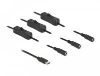 Delock - Netz-Splitter - USB-C (M) bis Gleichstromstecker 5,5 x 2,1 mm (W)