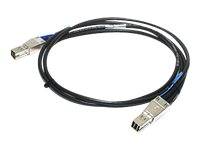 Synology - Externes SAS-Kabel - Mini SAS HD (SFF-8644)