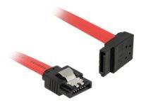 DeLOCK - SATA-Kabel - Serial ATA 150/300/600 - SATA (M)