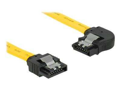 DeLOCK - SATA-Kabel - Serial ATA 150/300/600 - SATA (M)