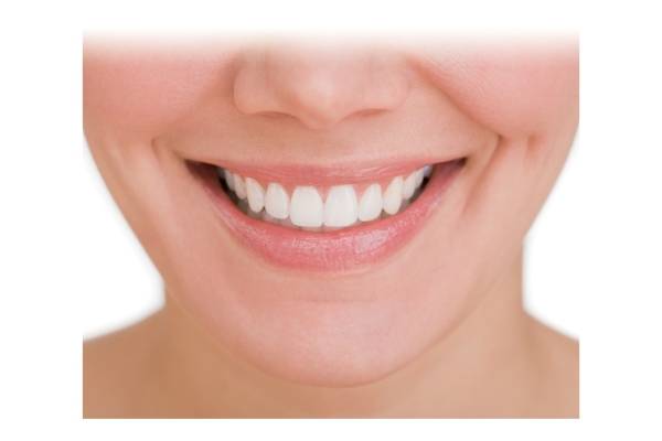 Panasonic EW-DL40 - Austausch-Bürstenkopf - für Zahnbürste