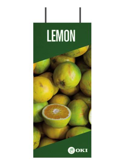 OKI FASTDISPLAY, Metall, 400 mm, 160 mm, 1250 mm