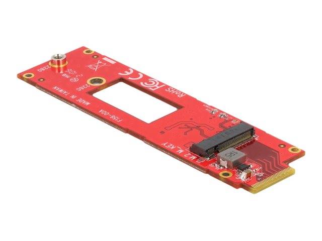 Delock - Speicher-Controller - M.2 - 1 Sender/Kanal