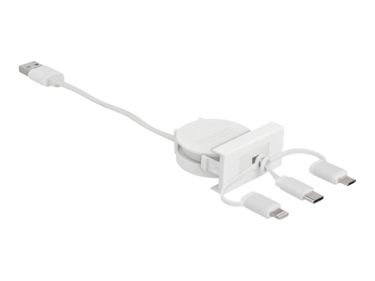 Delock Easy - Lightning-Kabel - USB männlich bis Micro-USB Typ B, Lightning, USB-C männlich