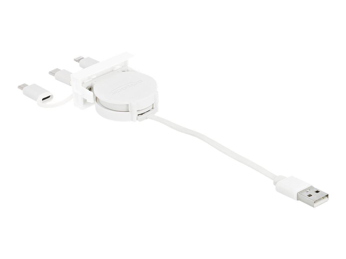 Delock Easy - Lightning-Kabel - USB männlich bis Micro-USB Typ B, Lightning, USB-C männlich