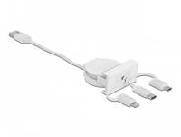 Delock Easy - Lightning-Kabel - USB männlich bis Micro-USB Typ B, Lightning, USB-C männlich