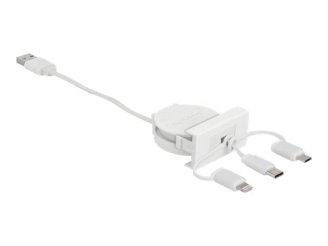 Delock Easy - Lightning-Kabel - USB männlich bis Micro-USB Typ B, Lightning, USB-C männlich