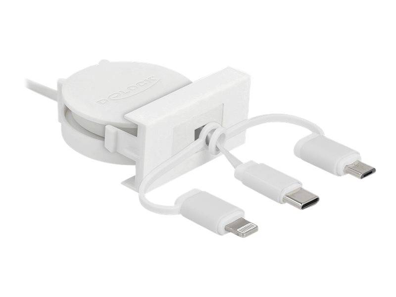 Delock Easy - Lightning-Kabel - USB männlich bis Micro-USB Typ B, Lightning, USB-C männlich