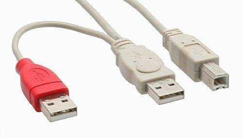 InLine - USB-Kabel - USB (M) bis USB Typ B (M)