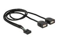 DeLOCK - Interner und externer USB-Adapter - 10-poliger USB-Header (W)