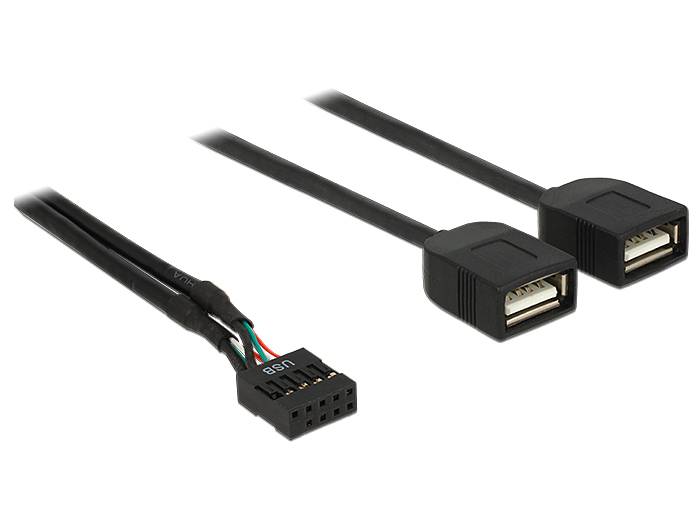 DeLOCK - Interner und externer USB-Adapter - 10-poliger USB-Header (W)