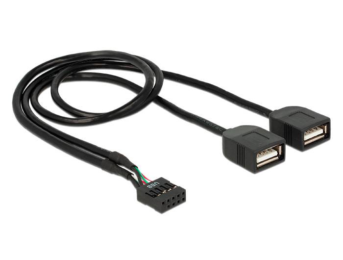 DeLOCK - Interner und externer USB-Adapter - 10-poliger USB-Header (W)