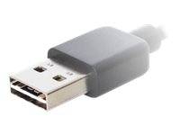 Nahaufnahme eines USB-A-Kabelsteckers mit einer grauen Schutzkappe auf weißem Hintergrund.