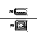Zebra - USB-Kabel - USB (M) bis USB Typ B (M)