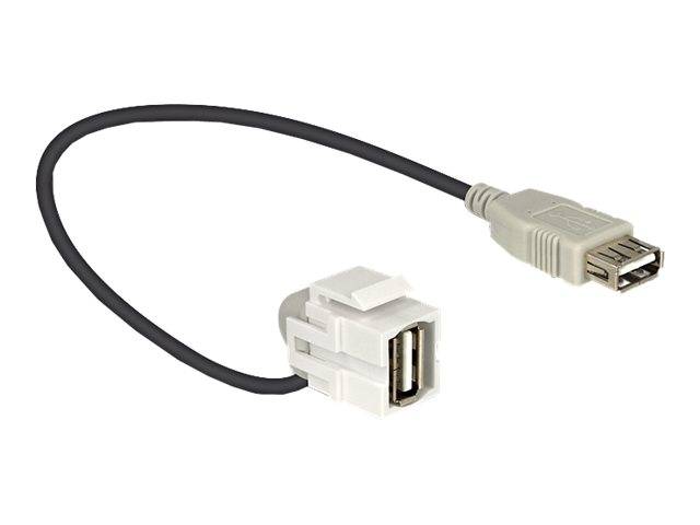 Delock - Modulare Eingabe - USB Type A