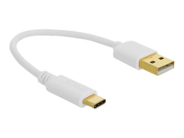 Delock - USB-Kabel - USB (nur Strom) (M) zu USB-C (nur Spannung)