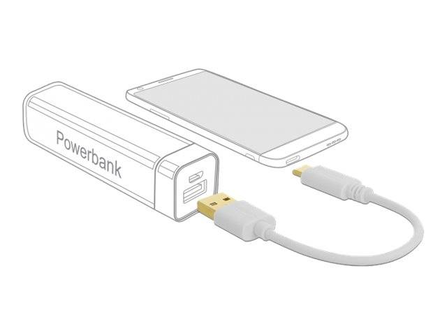 Ein Smartphone wird von einer Powerbank über ein USB-Kabel aufgeladen und zeigt eine tragbare externe Batterie, die mit einem Mobilgerät verbunden ist.