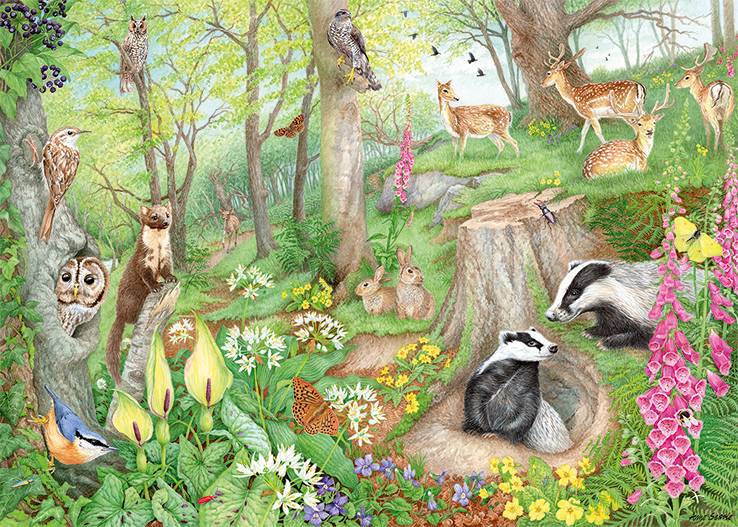 Falcon 11322 Anne Searle Tiere im Wald 1000 Teile Puzzle