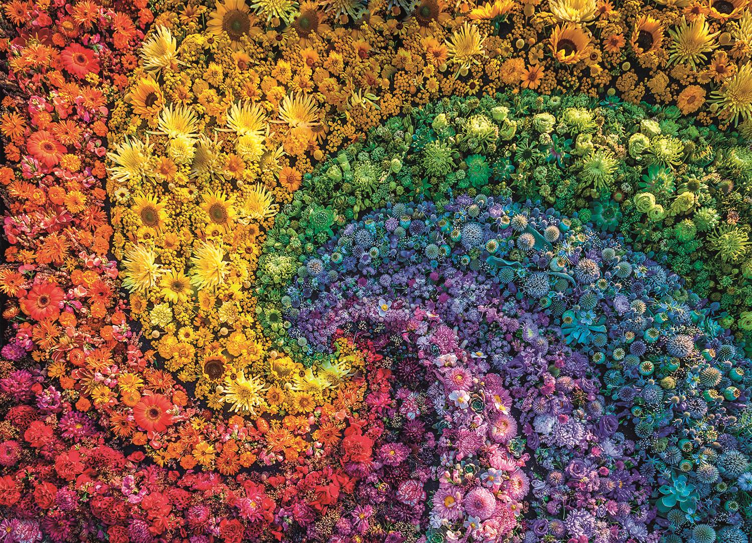 Clementoni 39594 Colorboom Collection Whirl 1000 Teile Puzzle