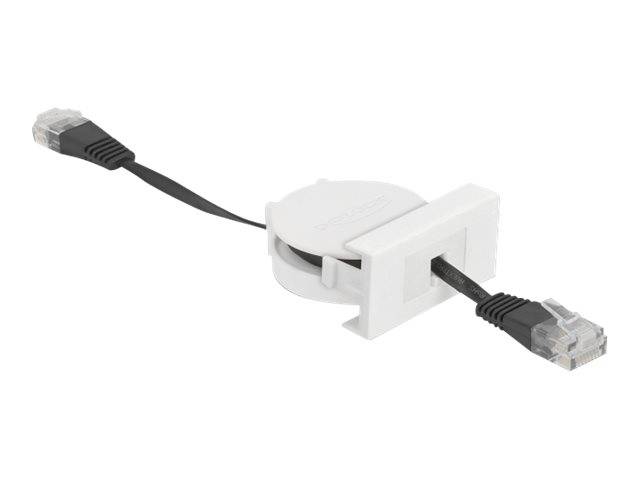Delock - Patch-Kabel - RJ-45 (M) bis RJ-45 (M)