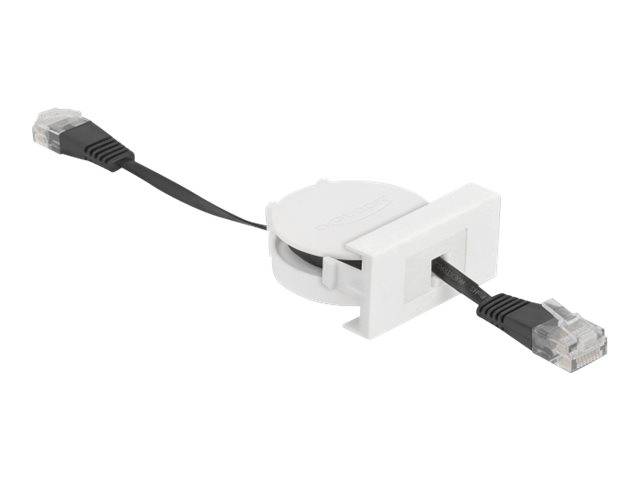 Delock - Patch-Kabel - RJ-45 (M) bis RJ-45 (M)