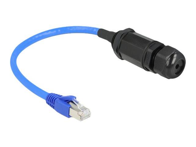 Delock - Netzwerkadapter - RJ-45 (M) bis RJ-45 (W)