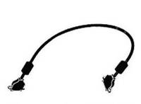 Extreme Networks - Stacking-Kabel - 30 cm