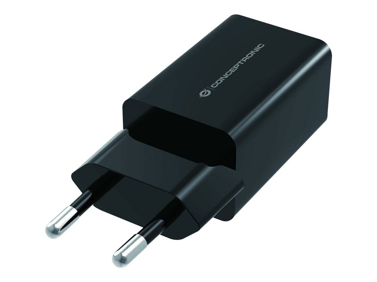 Conceptronic ALTHEA - Netzteil - 12 Watt - 2.4 A - 2 Ausgabeanschlussstellen (2 x USB)