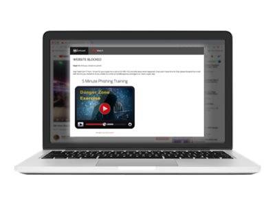 WatchGuard DNSWatchGO - Abonnement-Lizenz (1 Jahr)